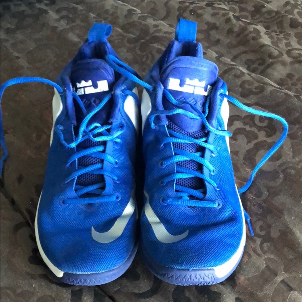 Mens Lebrons Zoom Witness Basketball Shoes